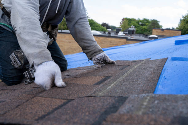 Professional Roofing Contractor in Whitehall, MI